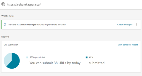 Bing Webmaster Tools Report