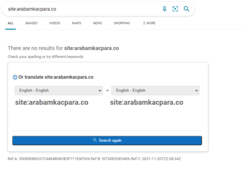 Microsoft Bing Translate