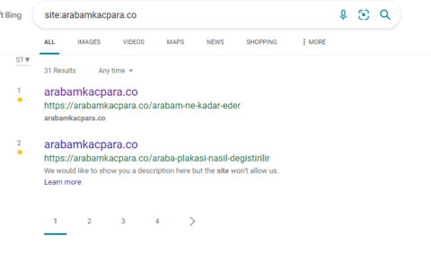 Bing IndexNow API Results