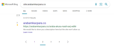 IndexNow Bing Paginated Result