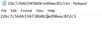 IndexNow API Key in TXT File