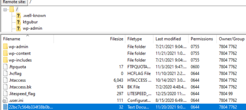 Root Server and IndexNow API Set up
