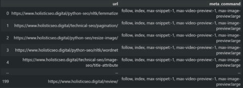 Meta Tag Audit from the Websites
